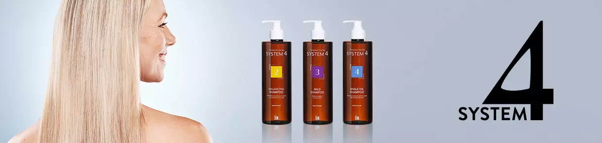 System 4