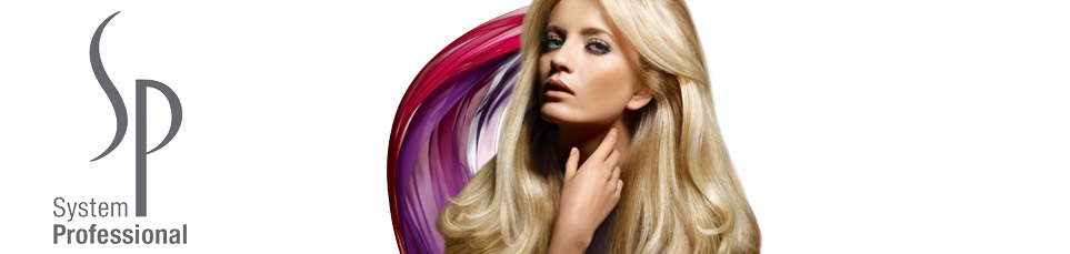 System Professional SP