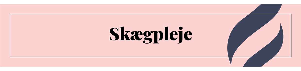 Skægpleje