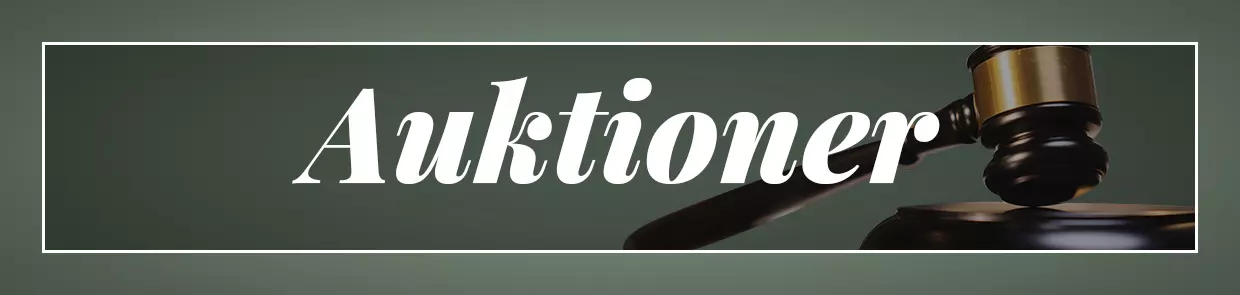Auktioner