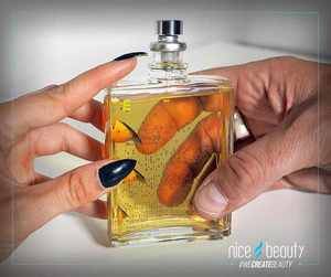 Samme duft til både mænd og kvinder!?