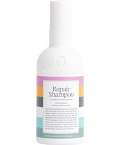 Waterclouds Repair Shampoo 250 ml