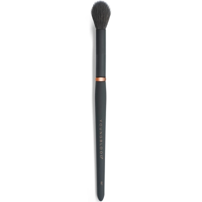 Youngblood Makeup Brush Highlight YB7