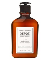 Depot No. 101 Normalizing Daily Shampoo 250 ml