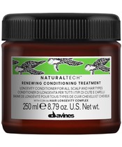 Davines NaturalTech Renewing Conditioning Treatment 250 ml