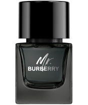 Burberry Mr. Burberry EDP 50 ml