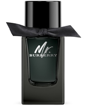 Burberry Mr. Burberry EDP 100 ml