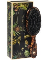 Fan Palm Hair Brush Medium - Turtle
